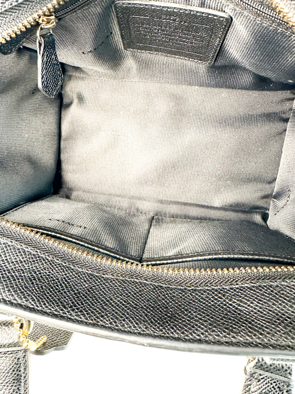 Coach Zebra Print Leather Crosby Mini Carryall