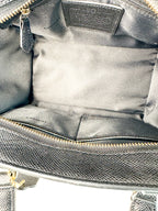 Coach Zebra Print Leather Crosby Mini Carryall