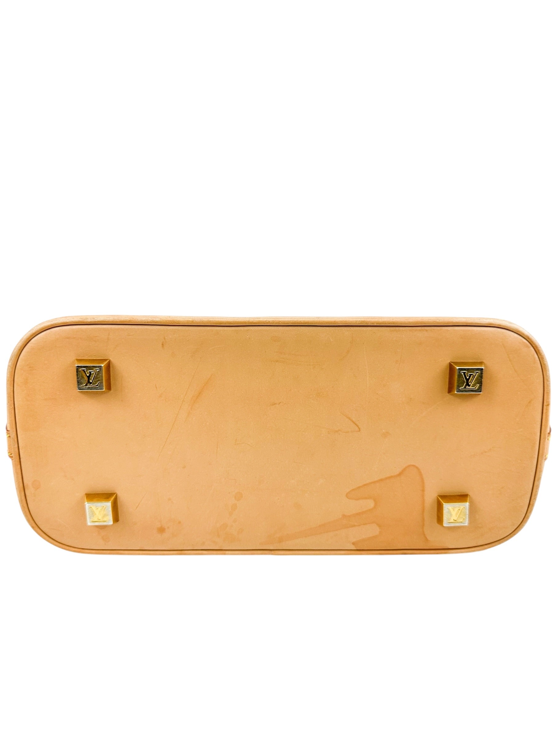 Louis Vuitton Ambre Vinyl Monogram Tote Bag